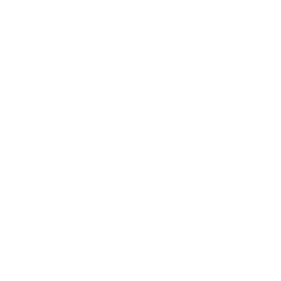 ce logo Norman